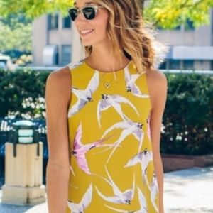 Ann Taylor bird sheath dress. Worn once. Retail 129‎